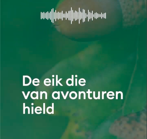 titelbeeld van de audiotour 'De eik die van avonturen hield'